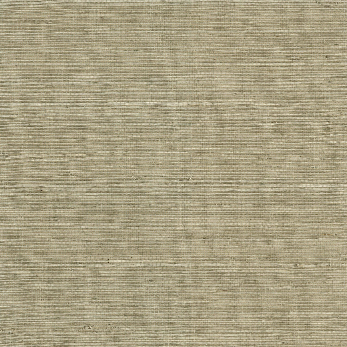 Wheat beige sisal grasscloth texture wallpaper with subtle horizontal weave