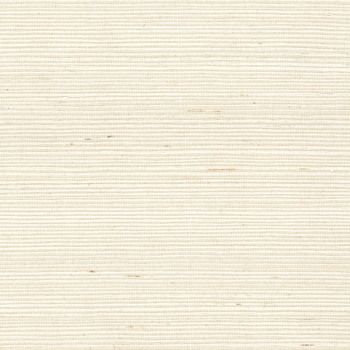 Ivory sisal grasscloth wallpaper with a natural woven texture