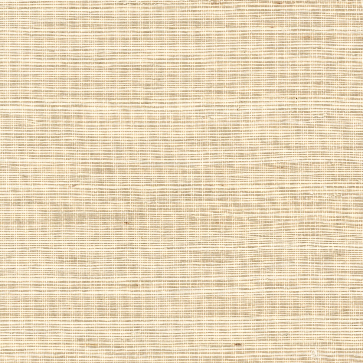 Crème Brule sisal grasscloth wallpaper texture in a light off-white neutral tone