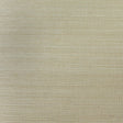 Beige crème brule sisal grasscloth wallpaper texture