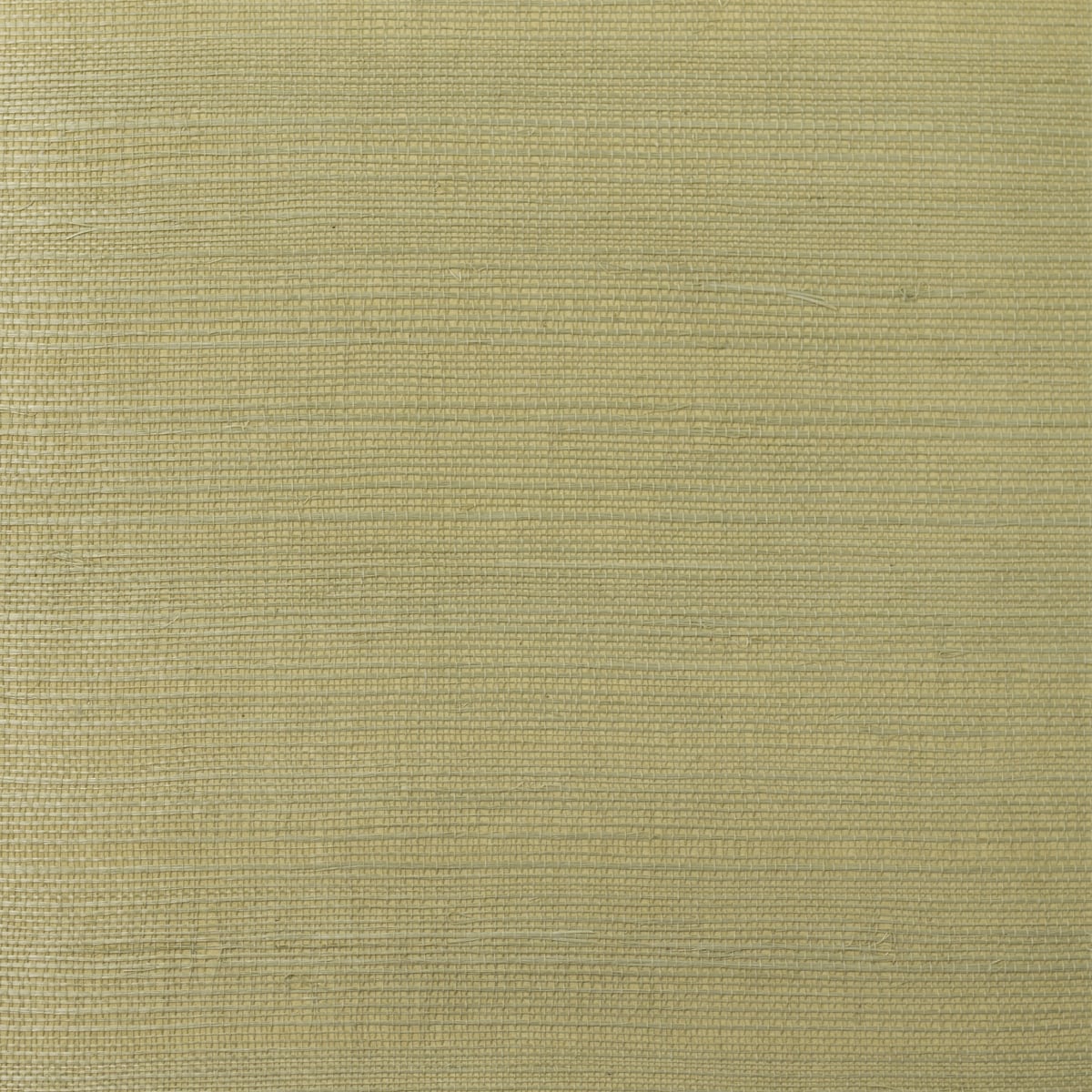 Golden rye sisal grasscloth texture wallpaper in a natural woven look
