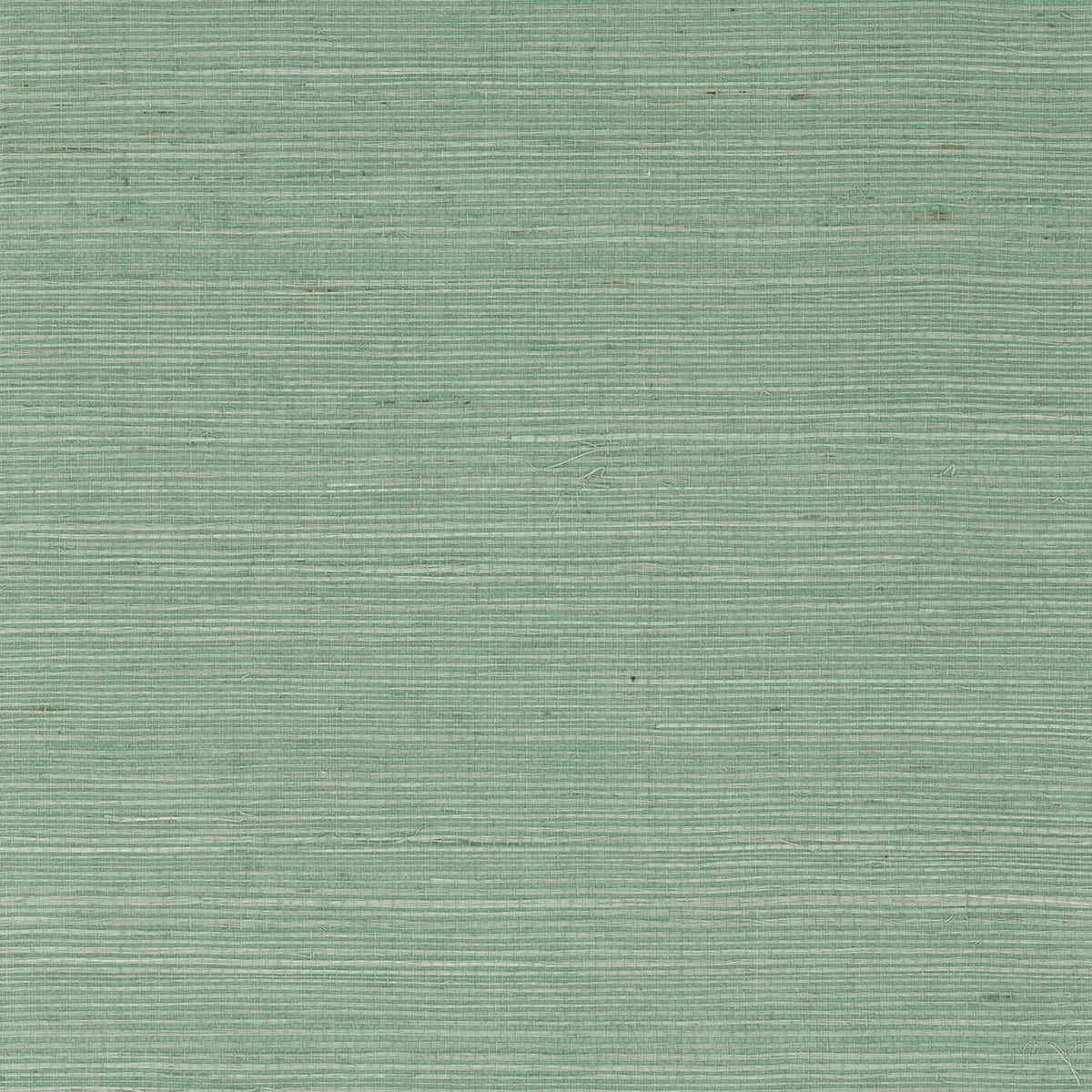 Tender green sisal grasscloth wallpaper with subtle horizontal texture