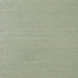 Tender green sisal grasscloth wallpaper with natural woven texture