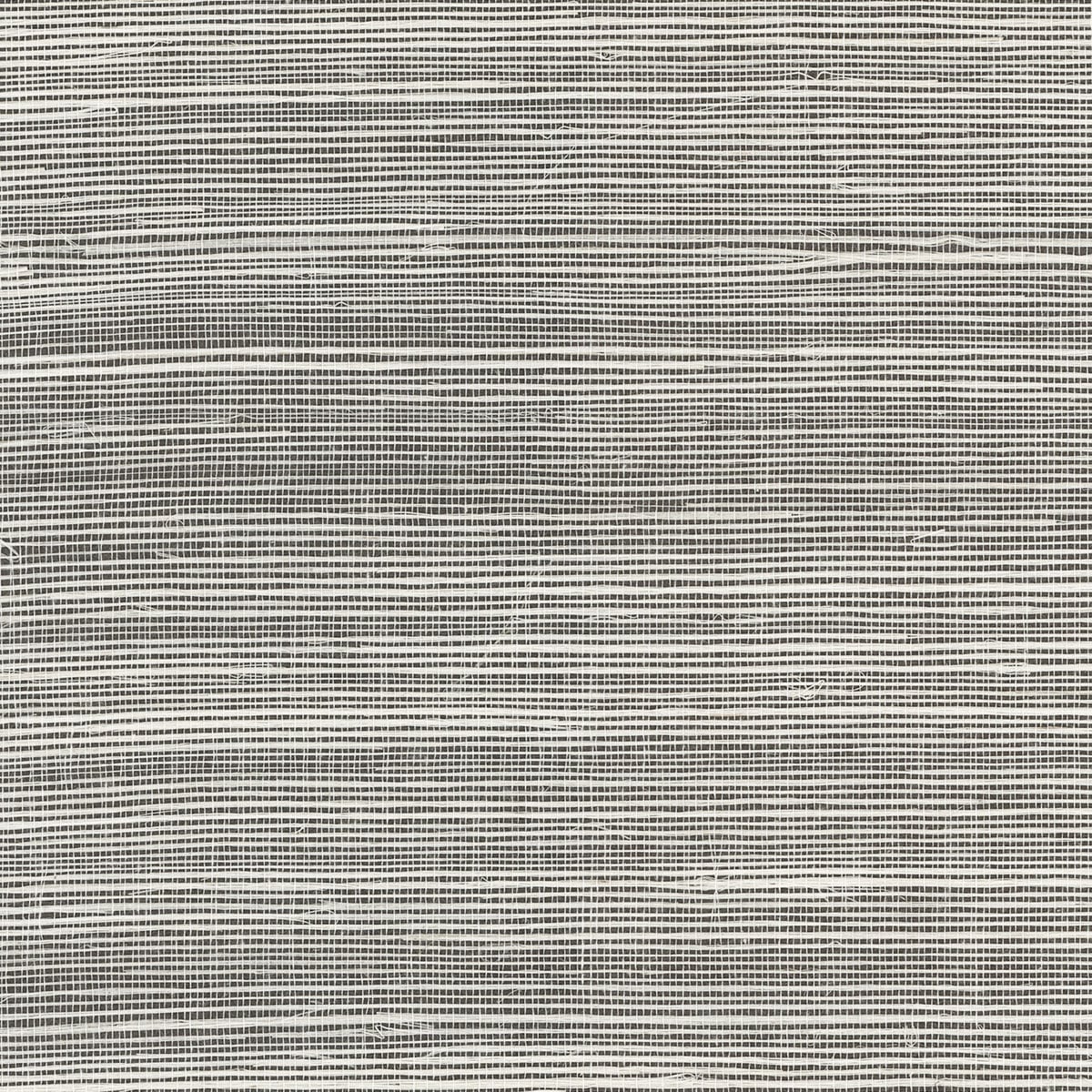 Salt and pepper grey sisal grasscloth wallpaper with a natural woven texture