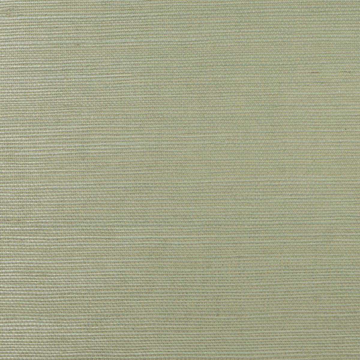 Sea oat green sisal grasscloth wallpaper texture