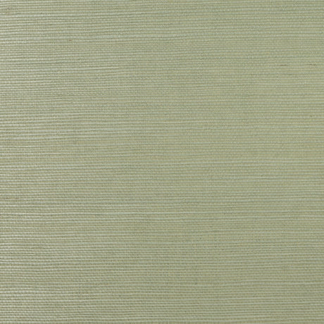 Sea oat green sisal grasscloth wallpaper texture
