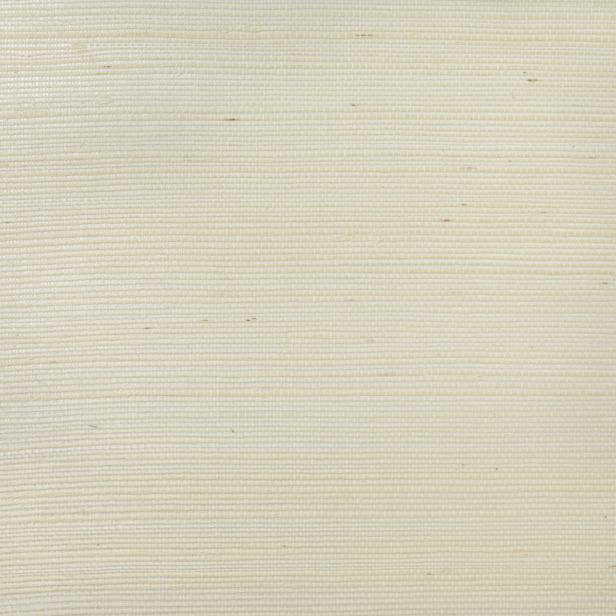 Metallic silver and ivory sisal grasscloth wallpaper texture