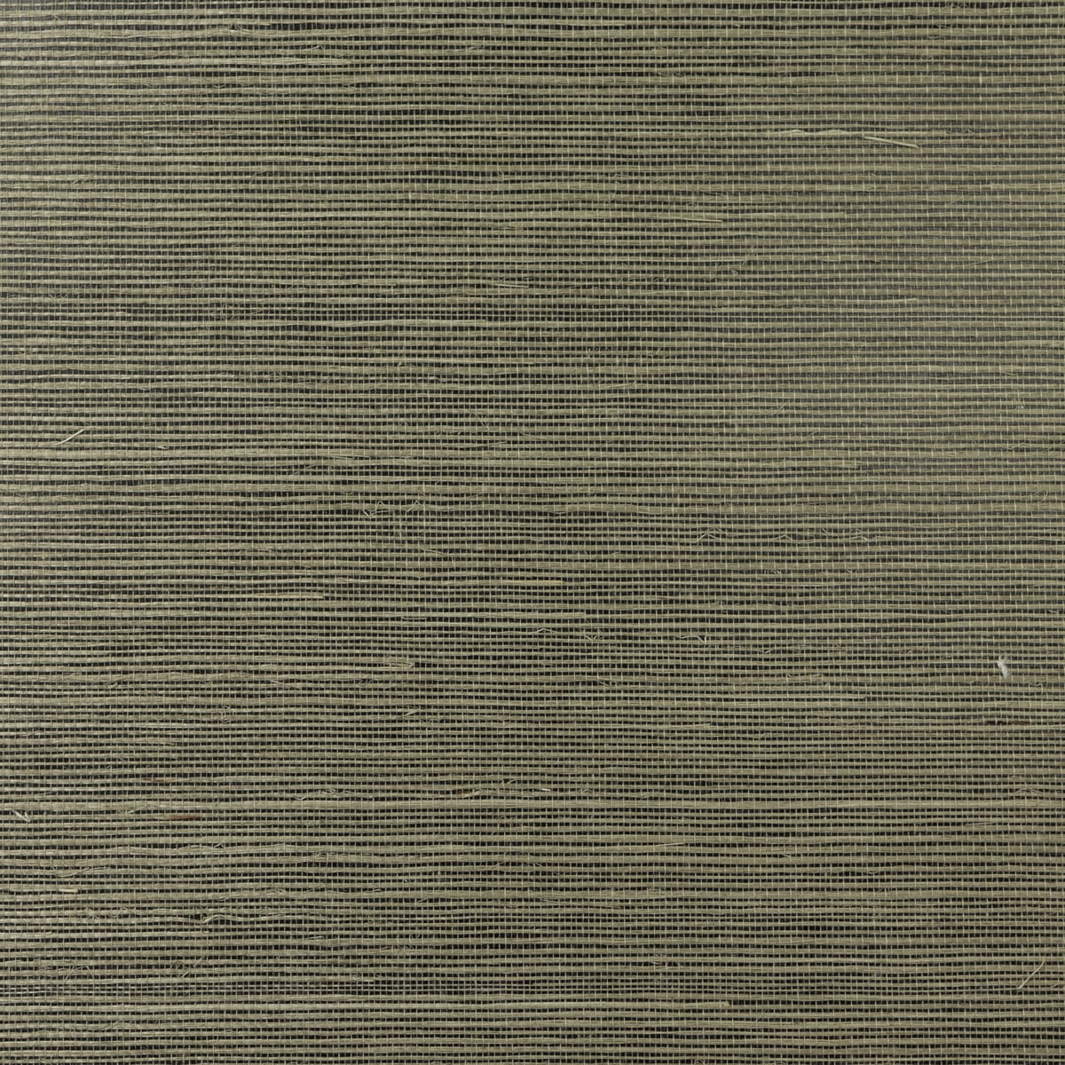 Serpentine green sisal grasscloth wallpaper texture with horizontal weave