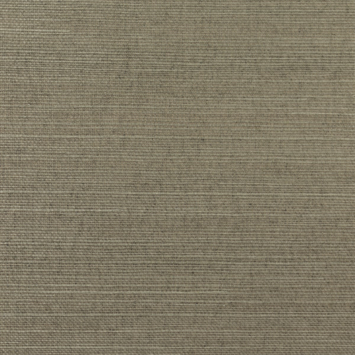 Bay Laurel beige sisal grasscloth wallpaper with a natural woven texture
