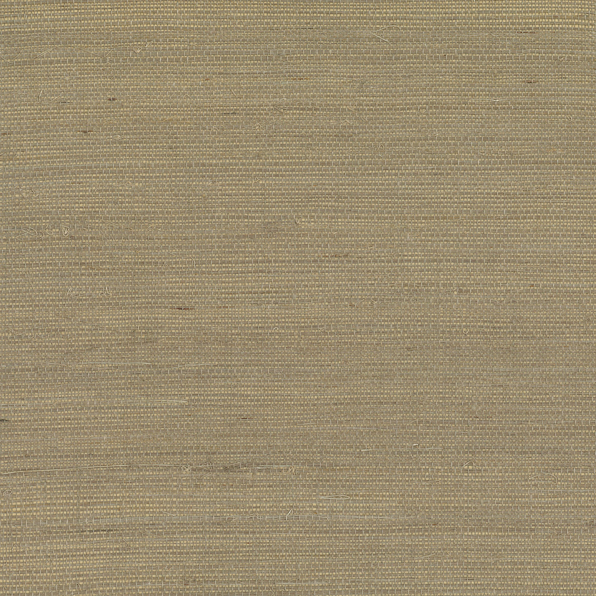 Sandstorm beige sisal grasscloth texture wallpaper