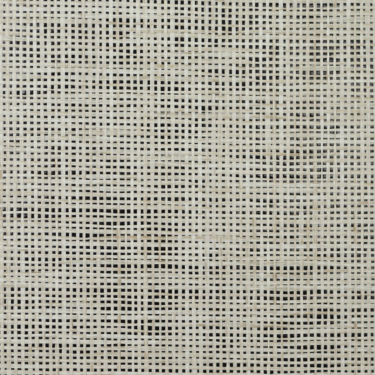 Close-up of woven paperweave grasscloth wallpaper texture in beige with black accents.