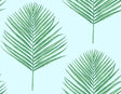Maui Palm peel and stick wallpaper in Celeste and Jade with palm frond motif