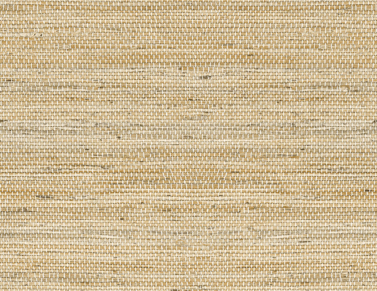 Chamomile beige woven grasscloth texture wallpaper pattern