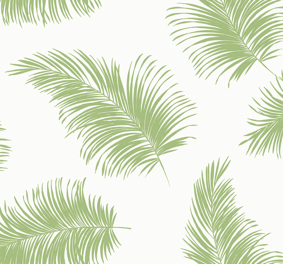 Green palm frond tossed pattern peel and stick wallpaper in Summer Fern on a white ground