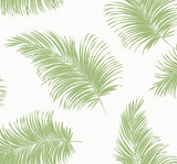Green palm frond tossed pattern peel and stick wallpaper in Summer Fern on a white ground
