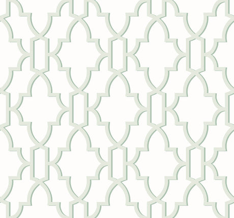 Coastal Lattice peel and stick wallpaper in Seaglass with a geometric trellis lattice pattern.