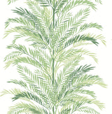 Keana Palm peel and stick wallpaper in Paradise Green with layered palm fronds on a white background