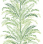 Keana Palm peel and stick wallpaper in Paradise Green with layered palm fronds on a white background