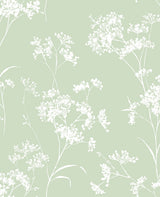 Floral Mist seacrest green peel and stick wallpaper with delicate white floral silhouettes