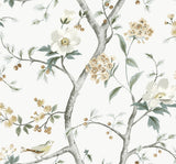 Sparrow Haven wallpaper pattern with delicate tree branches, white blossoms, and small birds in soft green and warm tan tones.