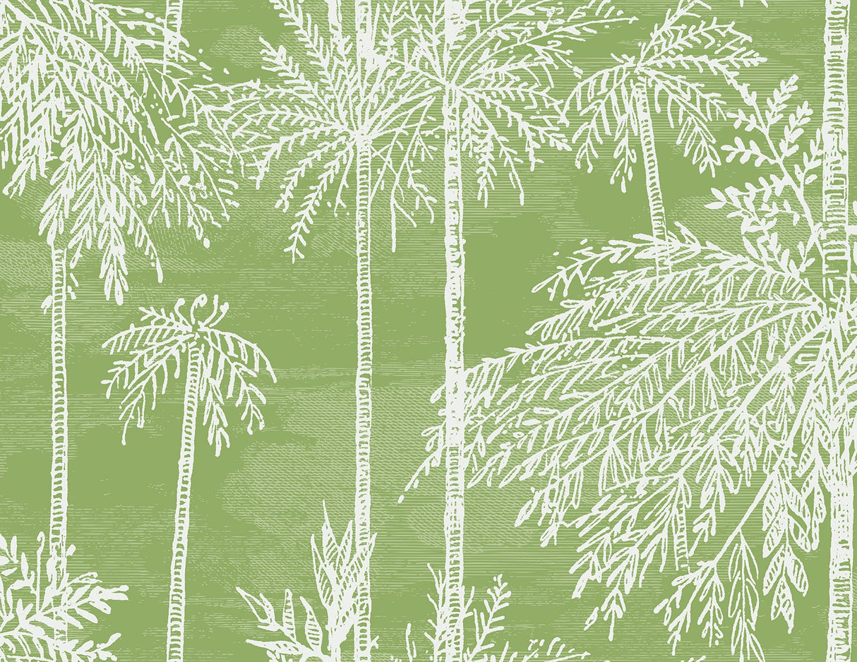 Palm Grove wallpaper in Summer Fern green with white palm trees and fronds in a coastal botanical layout.