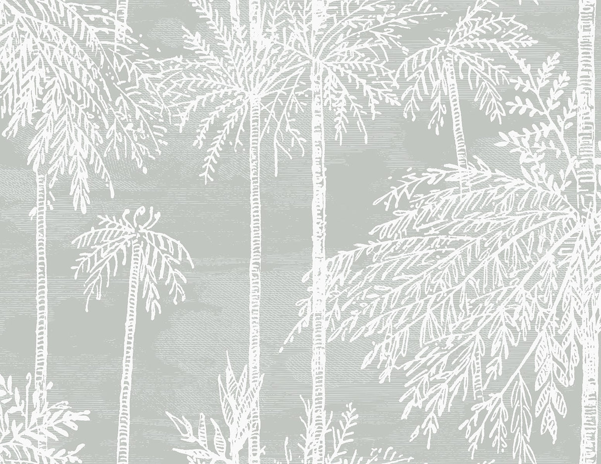Palm Grove wallpaper in Misty grey featuring white palm silhouettes in a coastal botanical pattern.