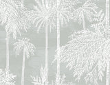 Palm Grove wallpaper in Misty grey featuring white palm silhouettes in a coastal botanical pattern.