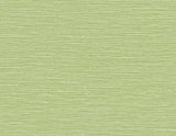 Tiger Island Faux Sisal wallpaper in Meadow green faux grasscloth texture
