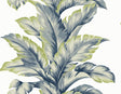 Banana Springs Deep Sea botanical banana leaf wallpaper pattern