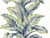 Banana Springs Deep Sea botanical banana leaf wallpaper pattern