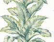 Banana Springs Rivercrest botanical banana leaf wallpaper in green tones