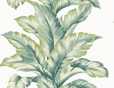 Banana Springs Rivercrest botanical banana leaf wallpaper in green tones