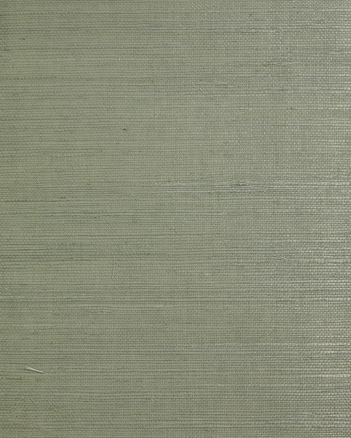 Sage regular weave sisal grasscloth wallpaper texture