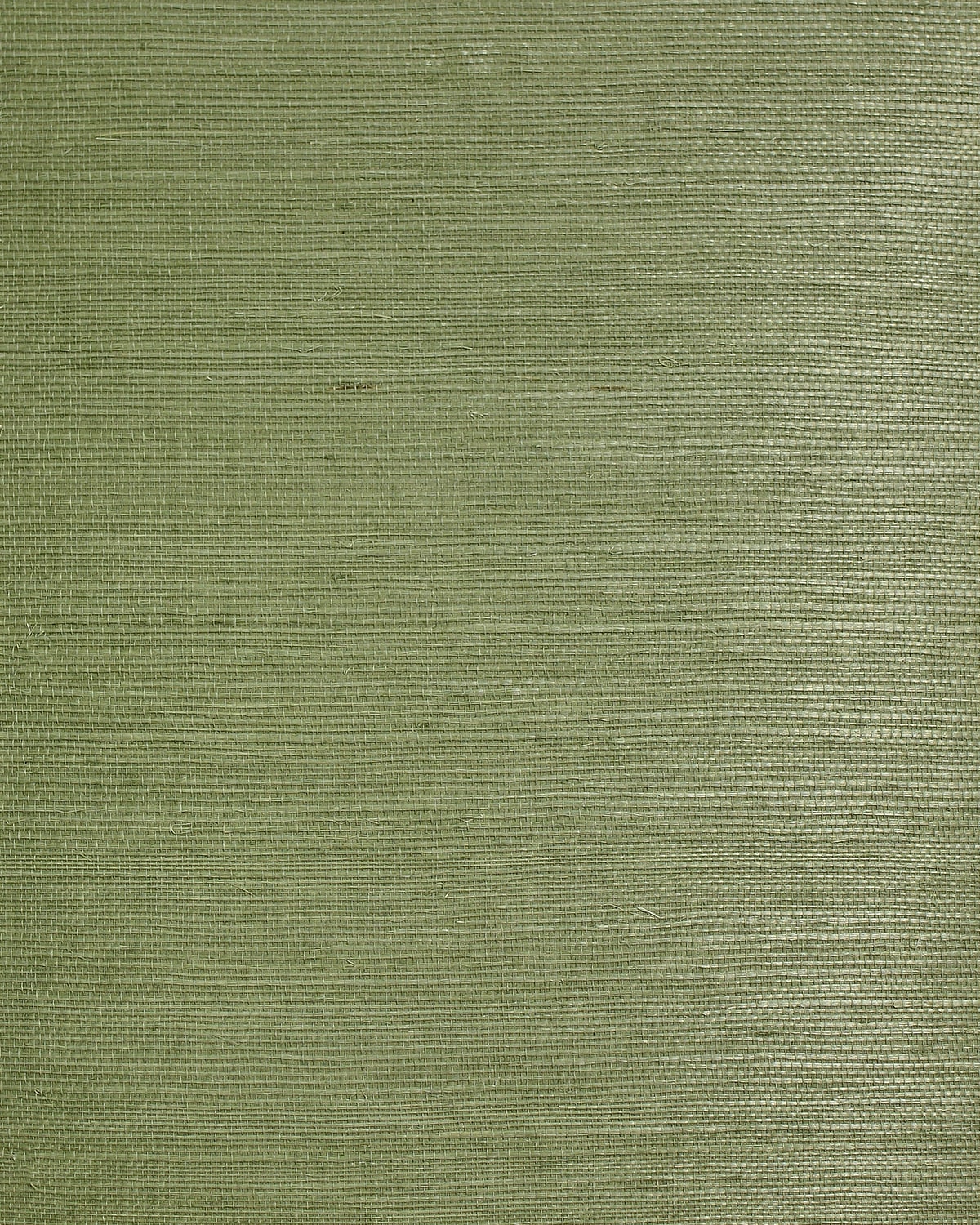 Leaf green sisal grasscloth wallpaper texture sample