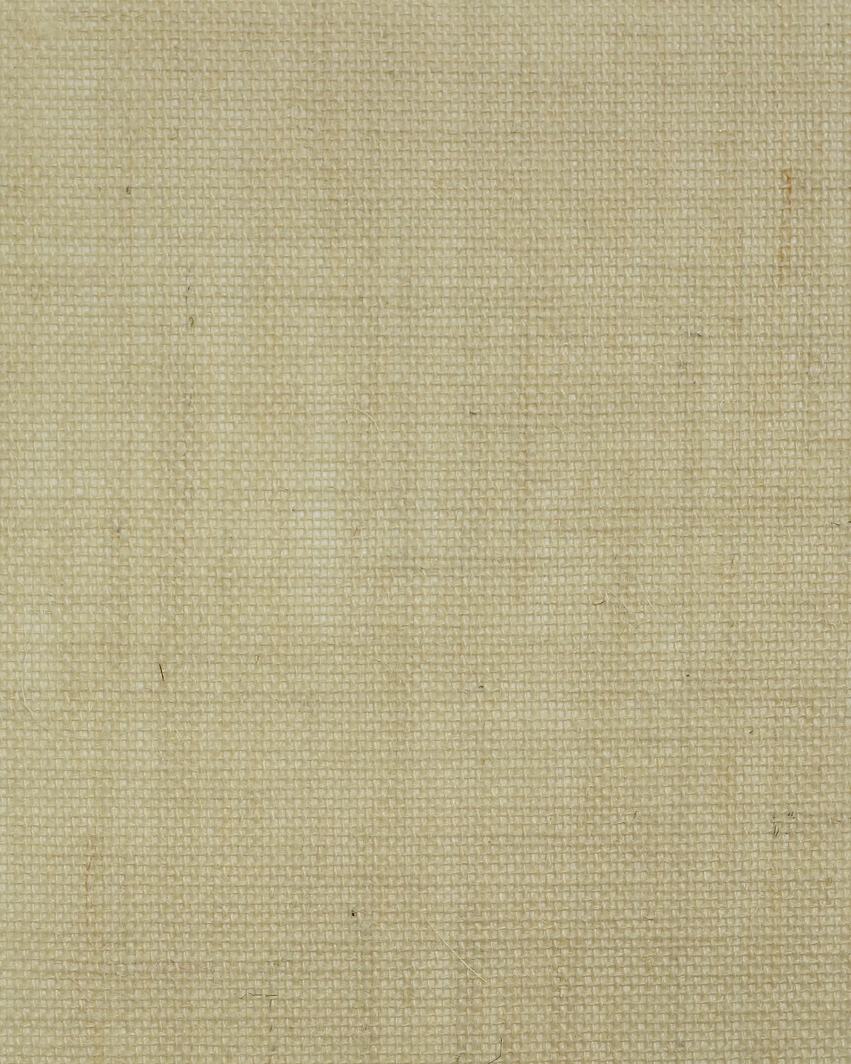 Macademia burlap grasscloth textured wallpaper in warm beige