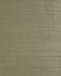 Smoky beige sisal grasscloth wallpaper with a subtle woven texture
