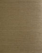 Smoky beige sisal grasscloth wallpaper texture