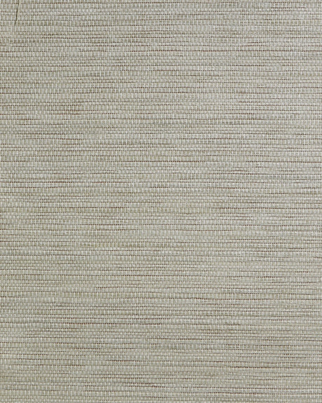 Soft gray paperweave grasscloth texture wallpaper