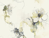 Anemone Watercolor Floral wallpaper pattern in Dark Ash and Canary (close-up)