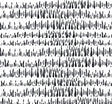 Black and white abstract brush mark wallpaper pattern