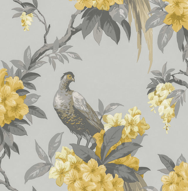 Golden Pheasant Grey Floral Wallpaper with Large-Scale Birds and Blossoms - Brewster M1662