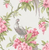 Golden Pheasant Rose Floral Wallpaper with Farmhouse Birds and Blooms - Brewster M1664