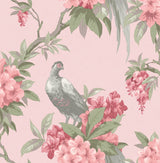 Golden Pheasant Pink Floral Wallpaper with Birds and Botanical Farmhouse Motif - Brewster M1665