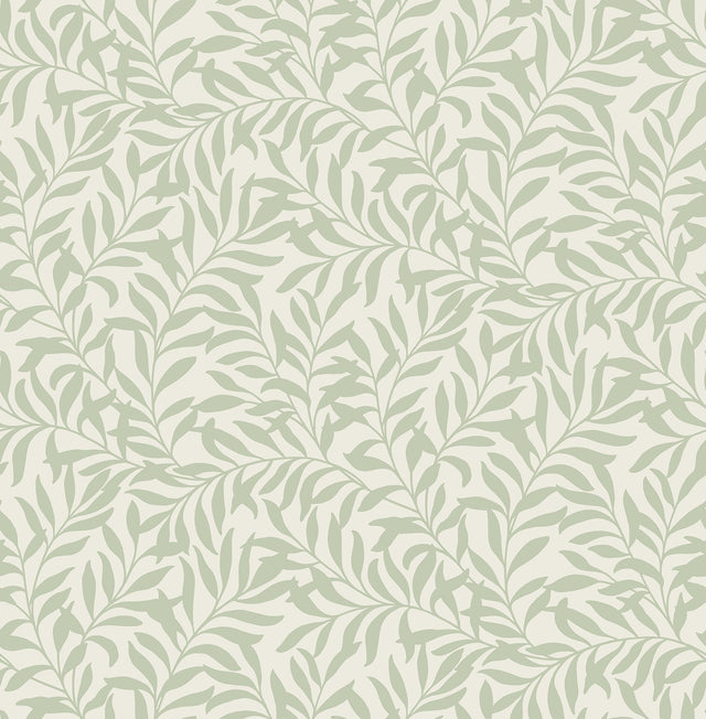 Salix Sage Leaf Wallpaper with Botanical Leaf Pattern - Brewster M1667