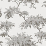 Ashdown Grey Tree Wallpaper with Modern Botanical Trees Pattern - Brewster M1671