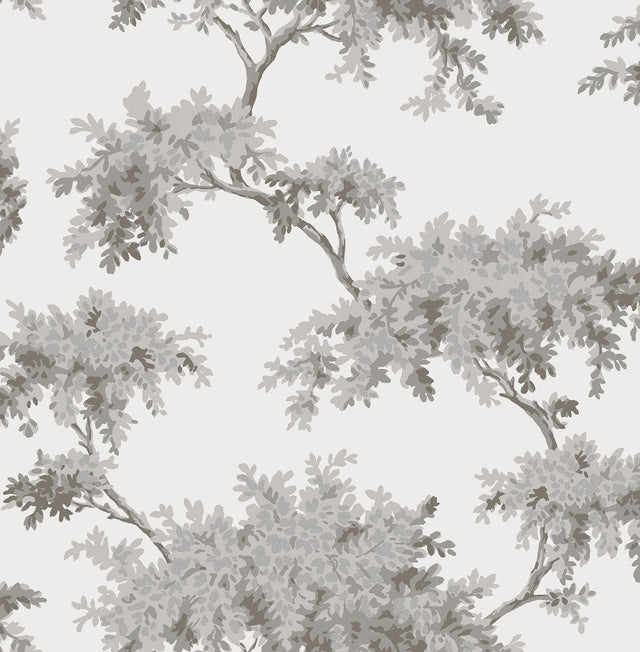 Ashdown Grey Tree Wallpaper with Modern Botanical Trees Pattern - Brewster M1671