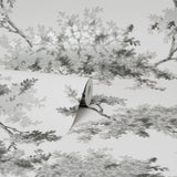 Ashdown Grey Tree Wallpaper with Modern Botanical Trees Pattern - Brewster M1671