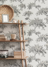 Ashdown Grey Tree Wallpaper with Modern Botanical Trees Pattern - Brewster M1671