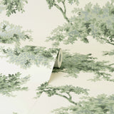 Ashdown Sage Tree Wallpaper with Botanical Trees Pattern, Modern Non Woven Unpasted - Brewster M1674