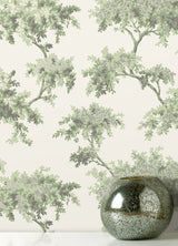 Ashdown Sage Tree Wallpaper with Botanical Trees Pattern, Modern Non Woven Unpasted - Brewster M1674